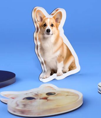 comprar IMÃ DE GELADEIRA PERSONALIZADO FELIZ PRESENTE Design Pet Acrílico Ímã de Geladeira Fofo Anime Personalização Adesivo Plástico Holográfico online manufacture