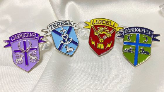 2D 3D Die Cast Sports Custom Lapel Pins Anime Soft Hard Cartoon Lapel Pin
