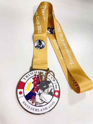 Bom preço. Medalha de Prémio com Logotipo Personalizado em Liga de Zinco com Banho de Ouro para Desportos e Eventos on-line